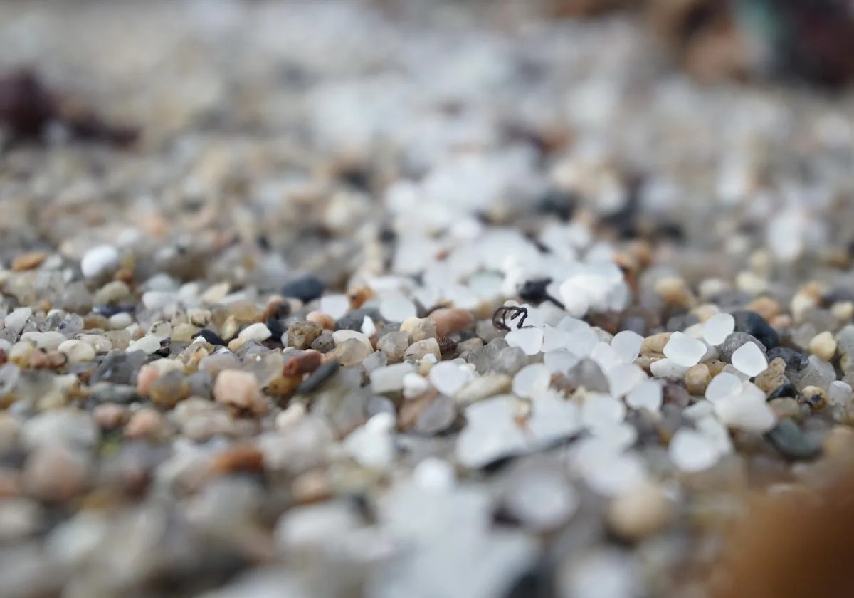 Microplásticos en una playa de Galicia.