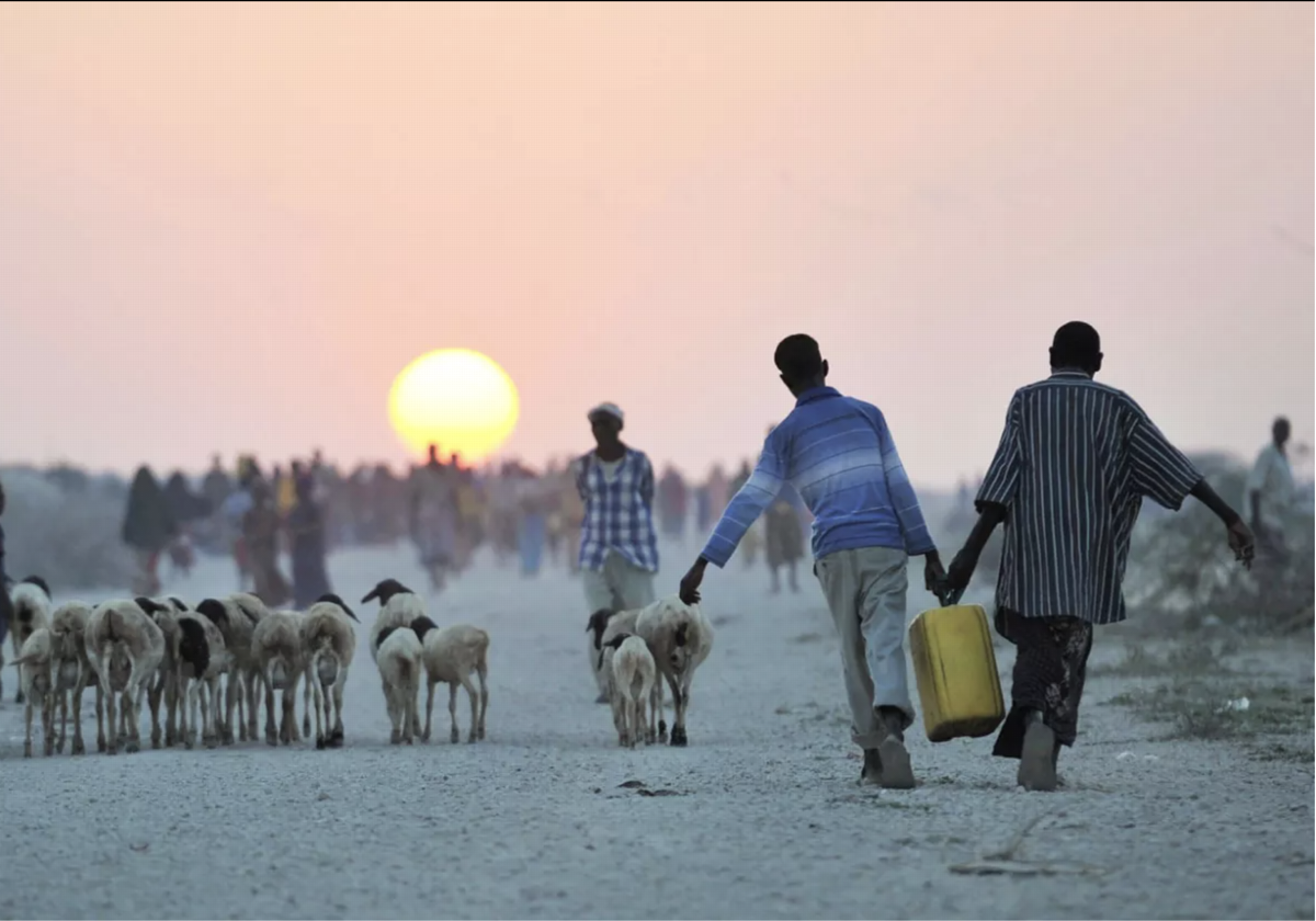 Habitantes en África.