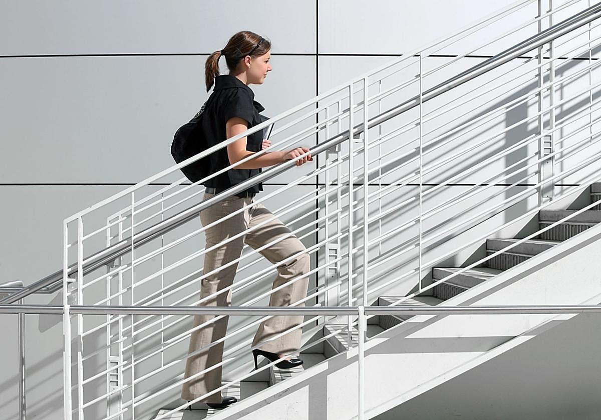 La orientación académica durante la carrera universitaria, un derecho