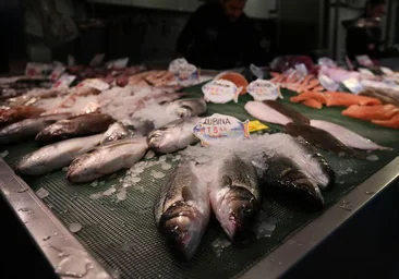 De qué habla Europa cuando pide que la pesca en el Mediterráneo sea más sostenible