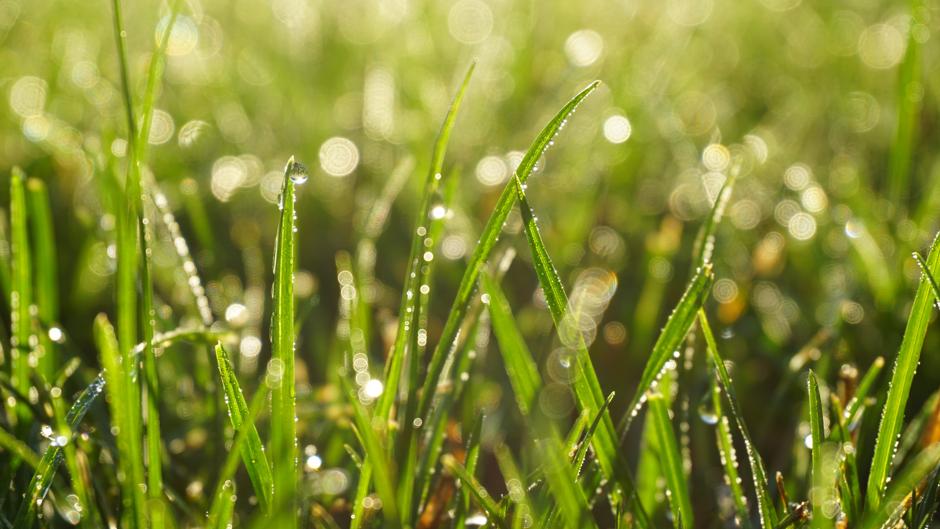 Meditación breve guiada pra calmar la mente