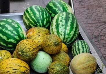 La naturaleza es sabia: por qué tienes que comer albaricoques, sandías y melón desde ya