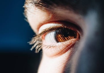 Oro para tus ojos: 10 alimentos tan vistosos como buenos para la vista