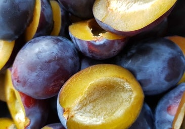 Por qué debes comer cuatro ciruelas al día