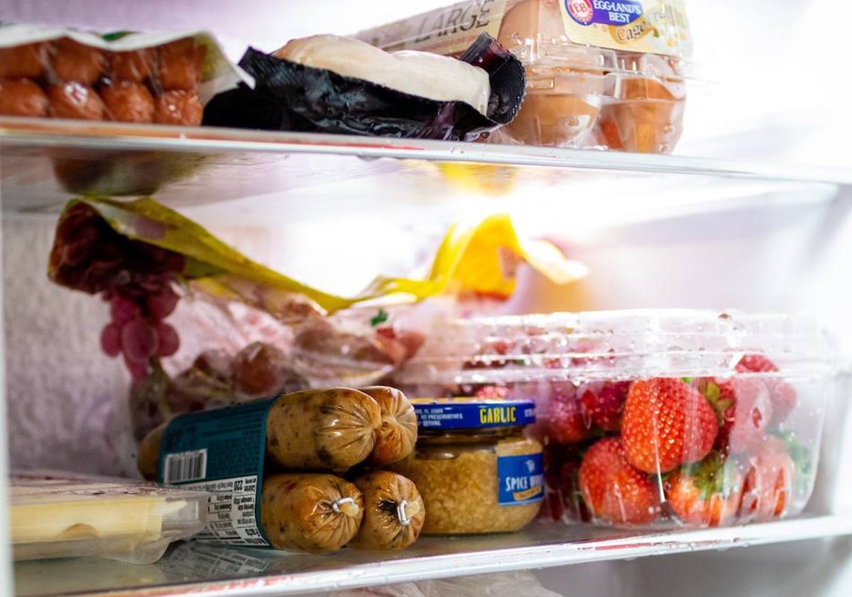 Qué hacer con la comida de la nevera si me voy de vacaciones