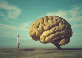Neuromitos: tres mentiras sobre el cerebro que siempre parecieron razonables