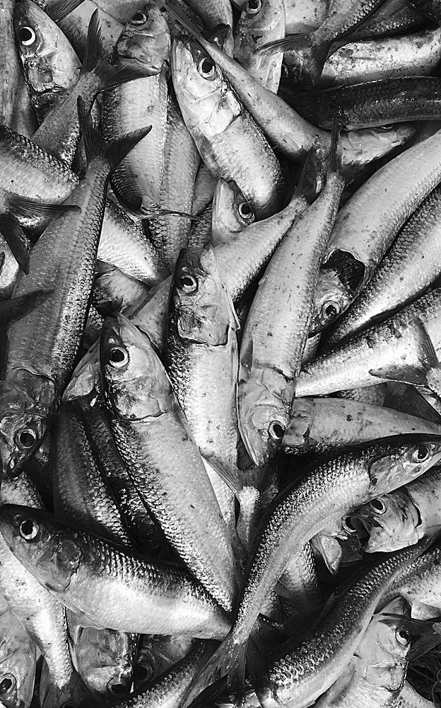 Omega 3 en verano: los mejores pescaditos saludables que puedes comer en la playa