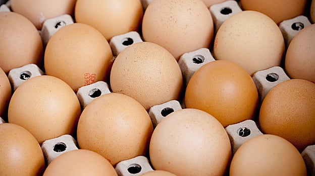 Huevos en el cartón.