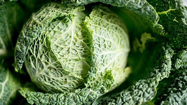 Las crucíferas producen gases