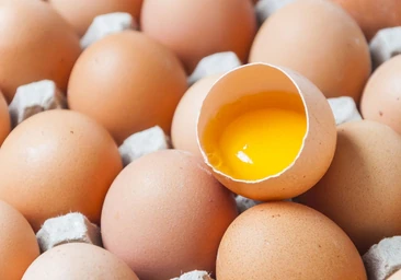 Los nutrientes del huevo ayudan a prevenir problemas de la función cognitiva.