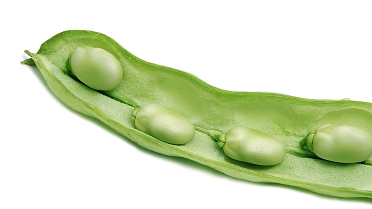 A la hora de consumir las habas crudas, hay que tener ciertas precauciones.