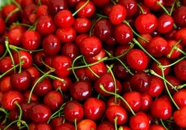 Qué pasa en nuestro cuerpo si comemos cerezas todos los días y cómo afecta a las personas con sobrepeso