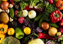 Pablo Ojeda, nutricionista: «Ninguna dieta del mundo funciona, lo que funciona es dar opciones y que cada uno pinte su propio cuadro»