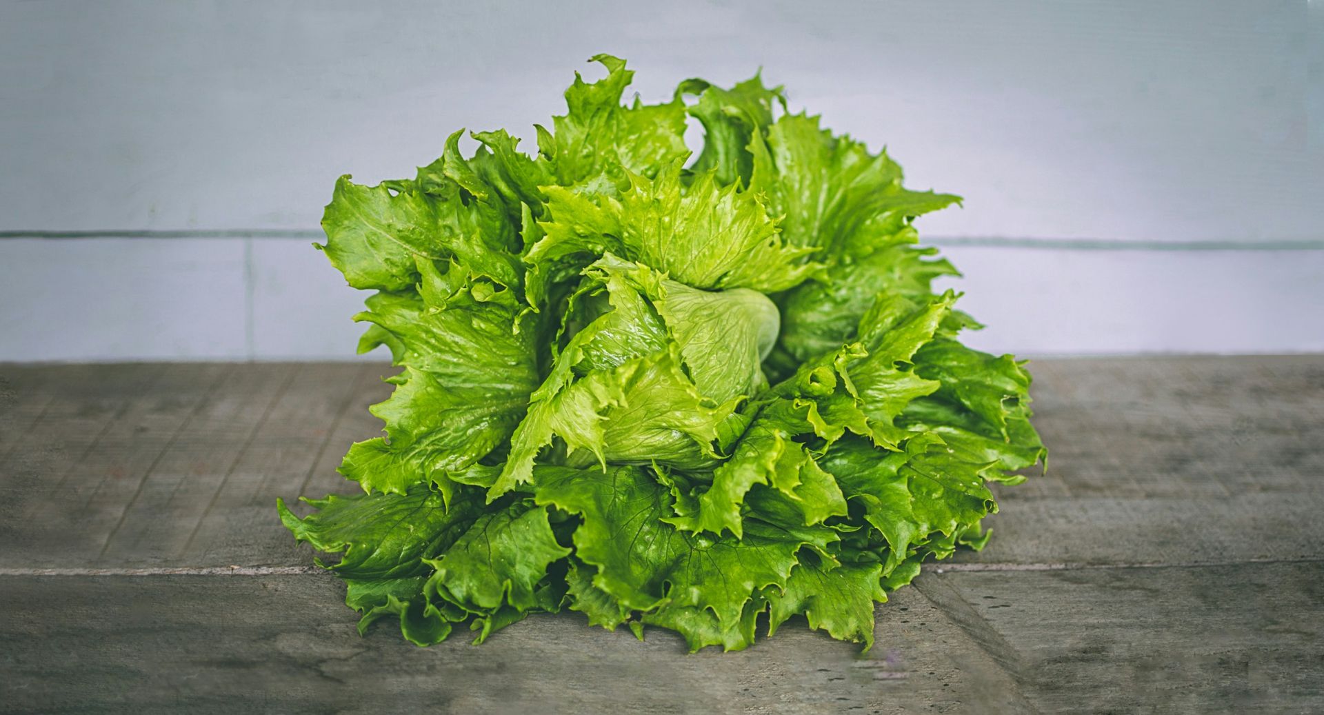 La lechuga es una verdura rica en agua y mejora la eliminación de líquidos gracias a su aporte de potasio. Es rica en calcio y omega 3, así como en vitaminas C y A.  Favorece la pérdida de peso, el cuidado de los riñones y la regulación de los niveles de azúcar en sangre. Por cada 100 gramos de alimento solo contiene 15 calorías.