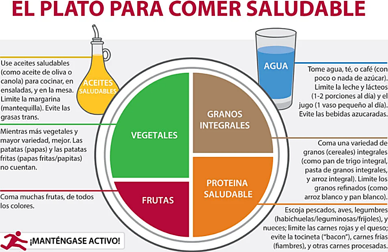 Composición del plato para comer saludable según Harvard
