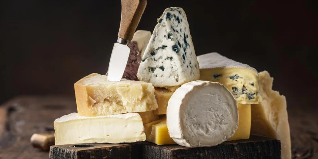 What will happen to our body if we eat cheese every day and how it will affect cognitive health