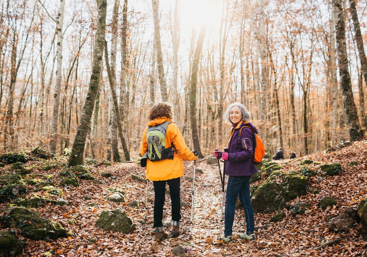 Marcha nórdica en otoño.