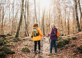 Marcha nórdica: el deporte ideal para reconectar con la naturaleza este otoño