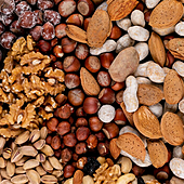 Fitatos: ¿antinutrientes o componentes esenciales para la salud?