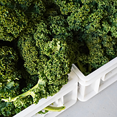 La verdura con más calcio que la leche que puedes incluir en cualquier plato