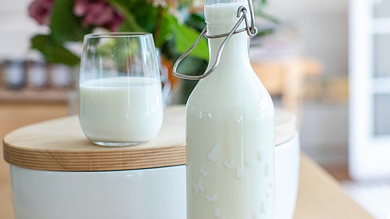 Lácteos saludables: qué mirar en la etiqueta para elegir los mejores yogures, quesos y leches