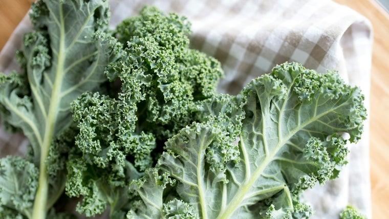 Alimentos ricos en antioxidantes y por qué son tan importantes para la salud