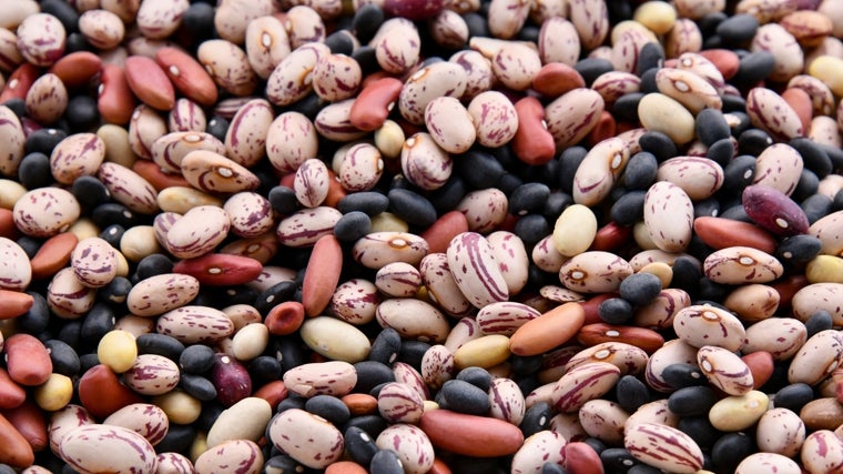 Antinutrientes, lo que quizá no sabes de los vegetales y cómo neutralizar su efecto