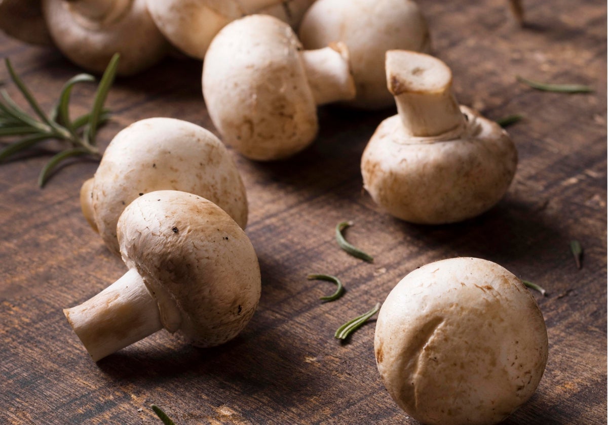 Los champiñones ayudan a combatir el cansancio veraniego: cinco recetas para aprovechar sus beneficios