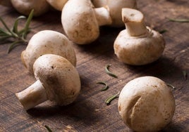 Los champiñones ayudan a combatir el cansancio veraniego: cinco recetas para aprovechar sus beneficios