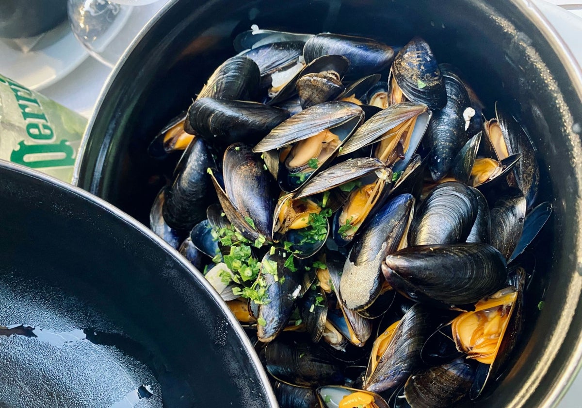 Los mejillones contienen hierro.