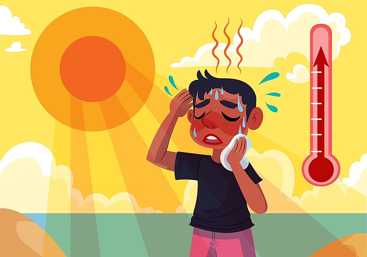 Ola de calor: los alimentos que ayudan a combatir las temperaturas extremas