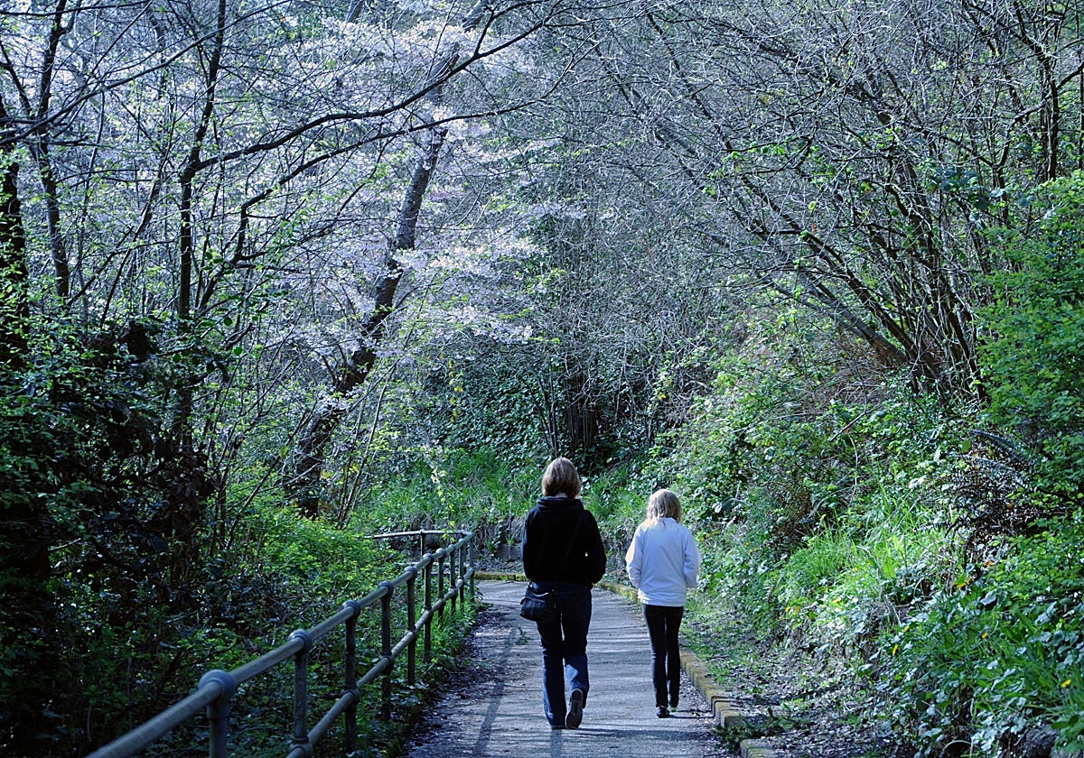 Un buen paseo por la naturaleza