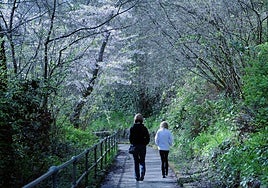 Ni entrenamiento ni nutrición, sigue estos consejos de estilo de vida para mejorar tu salud
