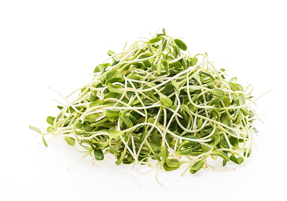 Cada vez los vemos más en la alimentación saludable