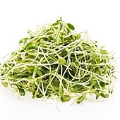 Germinados: los brotes que pueden contener hasta 20 veces más nutrientes que sus versiones secas