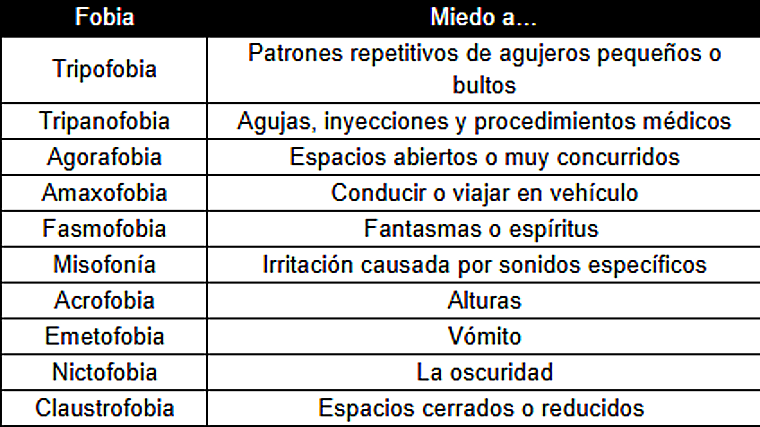 Tripofobia, emetofobia y miedo a conducir: las fobias más insólitas que nos asustan