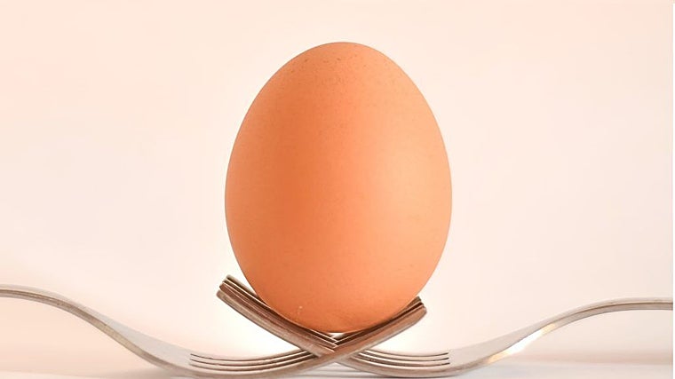 Beneficios del huevo y sus riesgos: «No se debe cascar en el recipiente en el que se va a batir o cocinar»