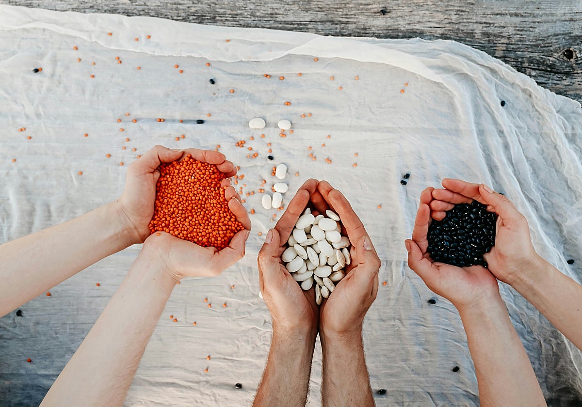 Esta es la importancia del zinc.