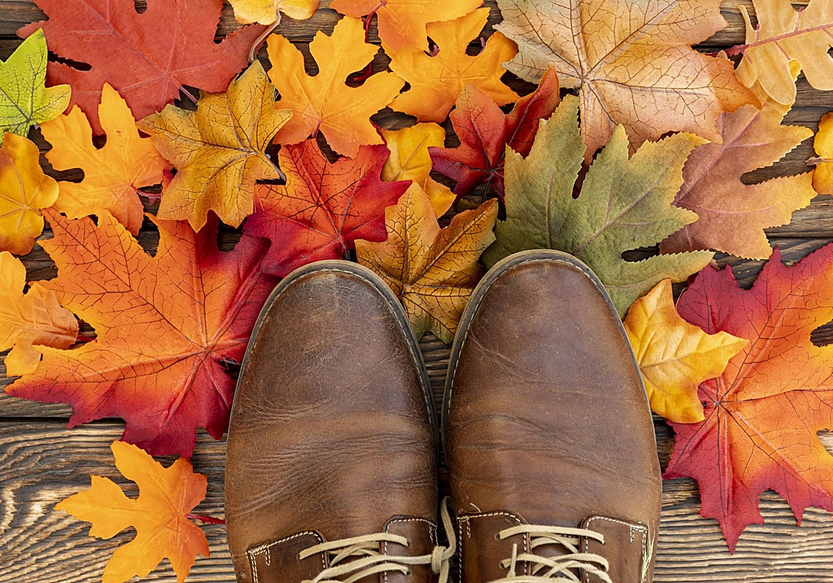 Con el otoño llega la pereza