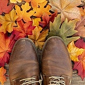 El psicólogo Tomás Navarro, sobre el bajón otoñal: «Escucha a tu pereza y atiende al mensaje que tiene para ti»