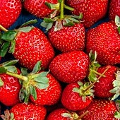El doctor David Céspedes, especialista en longevidad, avisa sobre el consumo de fresas: «Son de las peores frutas que puedes comer»
