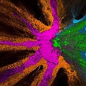 «El desarrollo personal florece cuando convertimos la envidia en brújula»