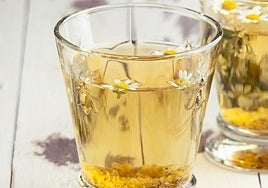 William Arias, doctor especialista en nutrición, sobre la manzanilla al dormir: «No va a funcionar si la tomas solo una noche»