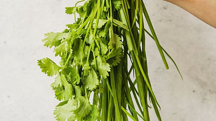 Cilantro: la hierba que divide al mundo entre el amor y el rechazo
