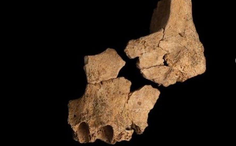 Hallan en Atapuerca la cara del primer europeo
