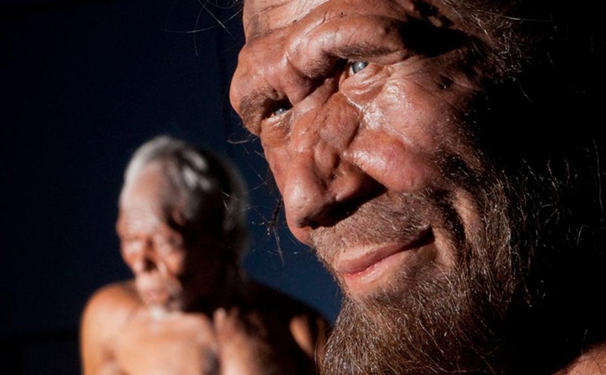 Recreación de un neandertal (en primer plano) y un humano moderno (al fondo)