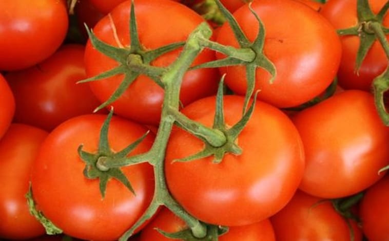 ¿Cómo ha afectado el jet-lag a los tomates?