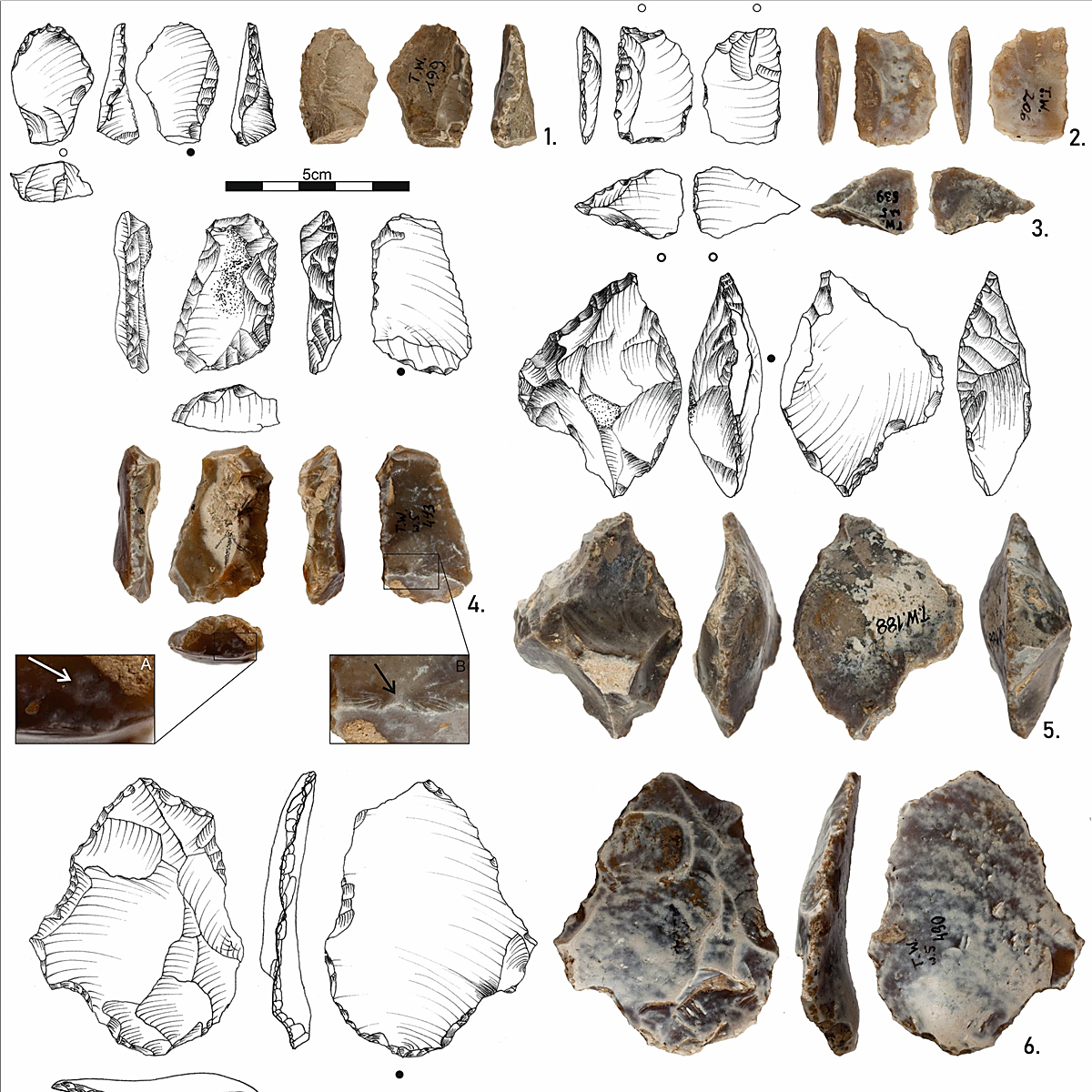 Hallan, en una cueva polaca, herramientas de piedra de hace medio millón de años