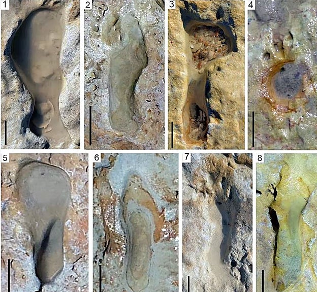 Pisadas de homínidos en un principio atribuidas a neandertales de la playa de Matalascañas