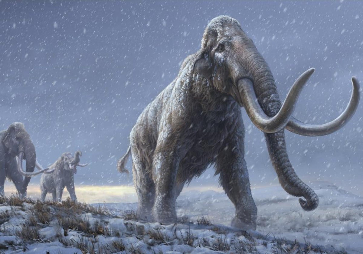 Recreación de los mamuts esteparios que precedieron al mamut lanudo